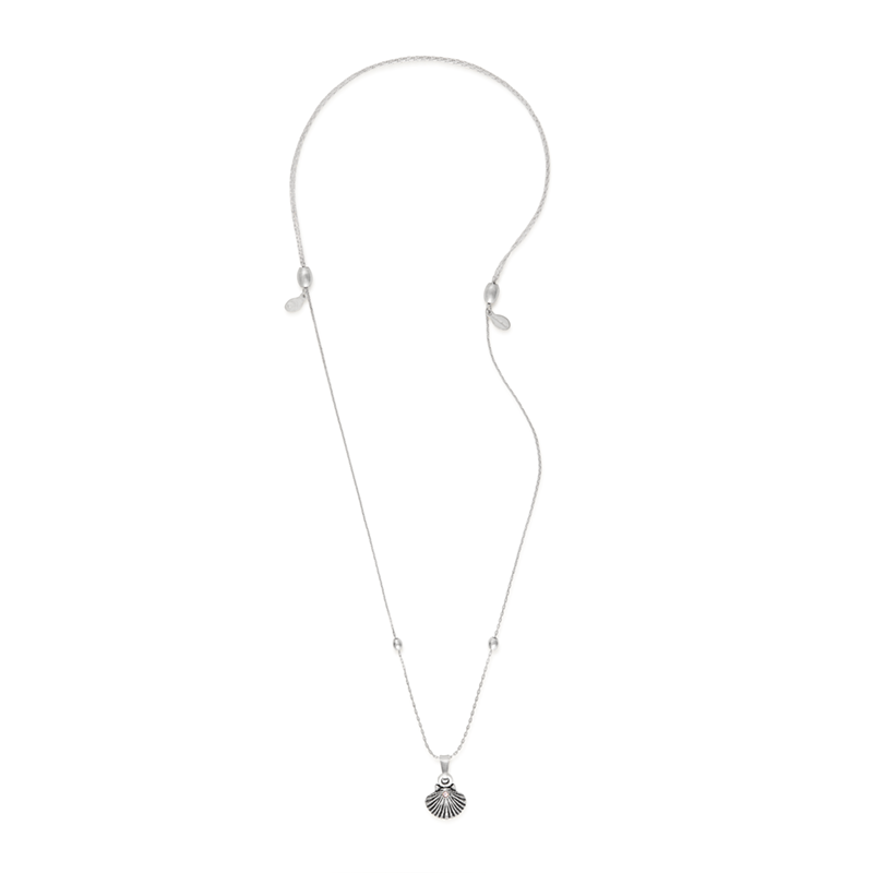 detail_silver_seashelll.png