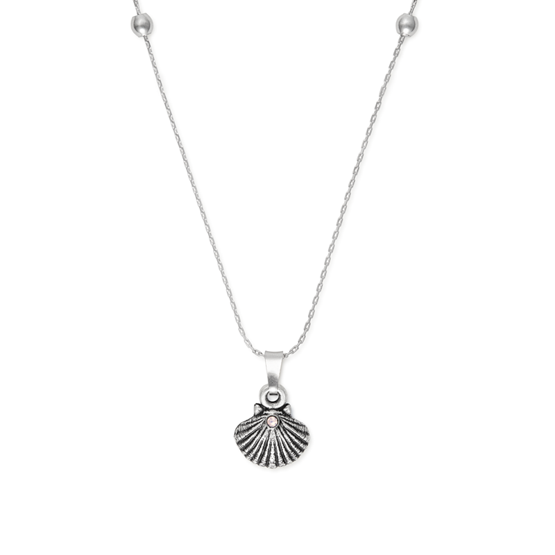 front_silver_sea_shell.png